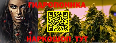 apvp Вышний Волочёк