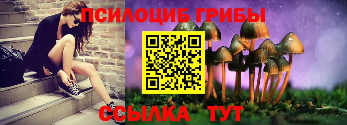 Псилоцибиновые грибы мухоморы  купить наркотик  Алушта  Вход с VPN  Галлюциногенные грибы Cubensis 